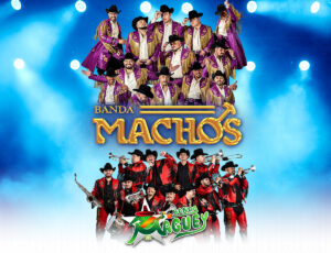 15529-1-MBCH_Banda-Machos-&-Banda-Maguey_Ent-Hero_1200x920